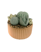 Ribbed Concrete Succulent Garden Container