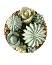 Ribbed Concrete Succulent Garden Container