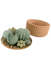 Ribbed Concrete Succulent Garden Container