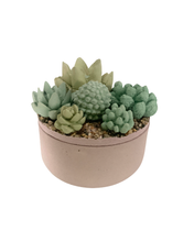 Concrete Succulent Garden Container