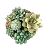 Concrete Succulent Garden Container