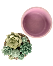 Concrete Succulent Garden Container