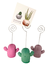 Cactus Photo/Card Holder