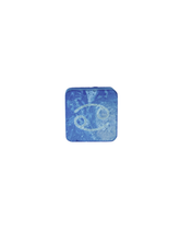 PRE-ORDER: Cancer Plant Charm