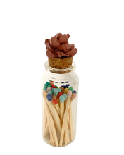 Succulent Match Jar