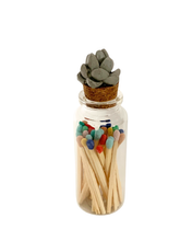 Succulent Match Jar