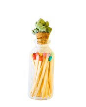 Succulent Match Jar