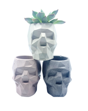 Skull - Various Colors