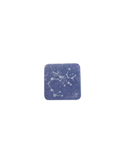 PRE-ORDER: Sagittarius Plant Charm