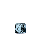 PRE-ORDER: Leo Plant Charm