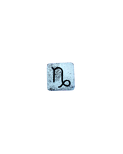 PRE-ORDER: Capricorn Plant Charm