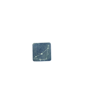 PRE-ORDER: Capricorn Plant Charm