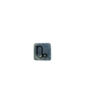 PRE-ORDER: Capricorn Plant Charm
