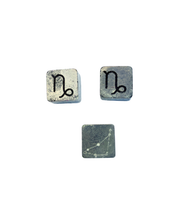 PRE-ORDER: Capricorn Plant Charm