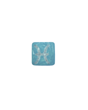 PRE-ORDER: Pisces Plant Charm