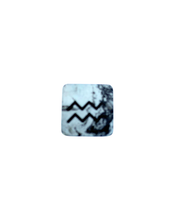 PRE-ORDER: Aquarius Plant Charm