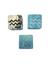 PRE-ORDER: Aquarius Plant Charm