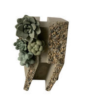 Succulent Garden Quotation Mark Bookend