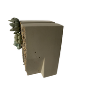 Succulent Garden Quotation Mark Bookend