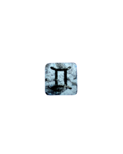 PRE-ORDER: Gemini Plant Charm