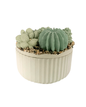 Ribbed Concrete Succulent Garden Container