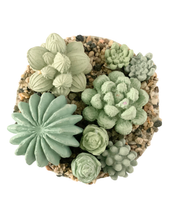 Ribbed Concrete Succulent Garden Container