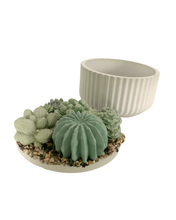 Ribbed Concrete Succulent Garden Container