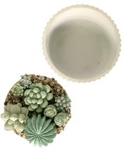 Ribbed Concrete Succulent Garden Container