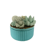 Ribbed Concrete Succulent Garden Container
