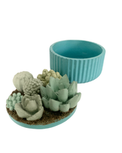 Ribbed Concrete Succulent Garden Container
