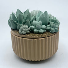 Ribbed Concrete Succulent Garden Container (Surprise Top)