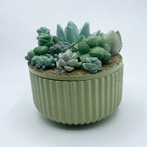 Ribbed Concrete Succulent Garden Container (Surprise Top)