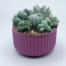 Ribbed Concrete Succulent Garden Container (Surprise Top)