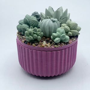 Ribbed Concrete Succulent Garden Container (Surprise Top)