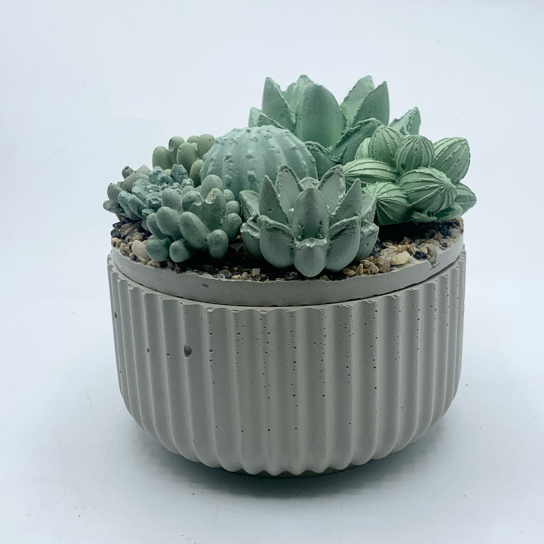 Ribbed Concrete Succulent Garden Container (Surprise Top)