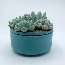 Concrete Succulent Garden Container (Surprise Top)