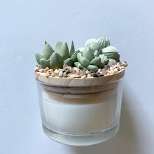 Succulent Garden Candle - 4 oz