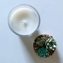 Succulent Garden Candle - 7 oz