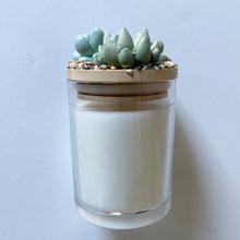 Succulent Garden Candle - 7 oz