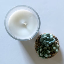Succulent Garden Candle - 7 oz