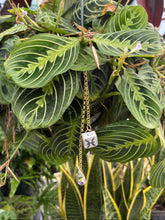 PRE-ORDER: Pisces Plant Charm