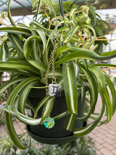 PRE-ORDER: Gemini Plant Charm