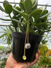 PRE-ORDER: Taurus Plant Charm