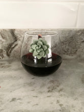 Succulent Glass Charms (Set of 3)