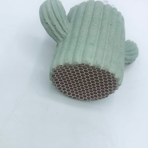 Cactus Match Holder