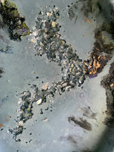 Hex Tray