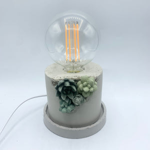 Succulent Accent Lamp