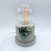 Succulent Accent Lamp