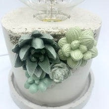Succulent Accent Lamp