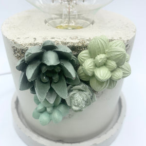 Succulent Accent Lamp
